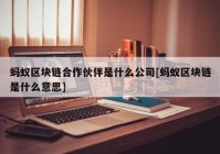 蚂蚁区块链合作伙伴是什么公司[蚂蚁区块链是什么意思]